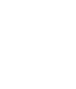 palm-white